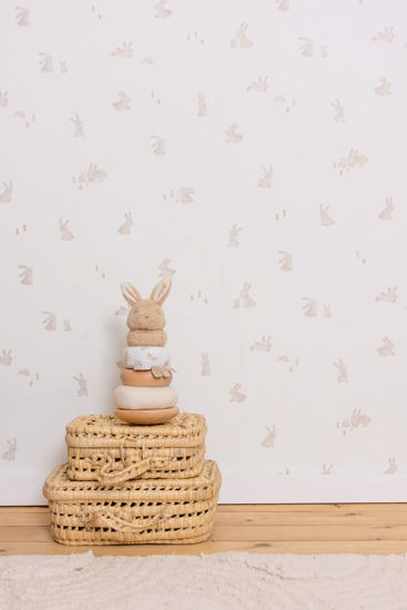 Bild von Vliestapete Baby Bunny