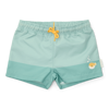 Bild von Swim trunks Seashells Surf Blue - 98/104