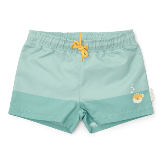 Bild von Swim trunks Seashells Surf Blue - 98/104