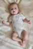 Bild von Newborn NOOS Safari Freunde Strampler kurzarm Little Safari 74